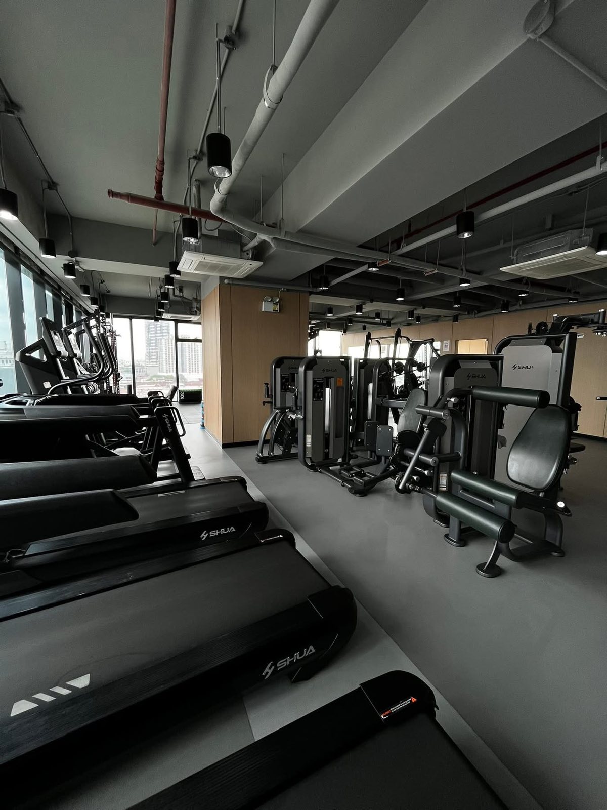 Trium Square gym — cardio row